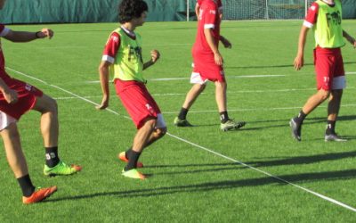 PRIMAVERA, SECONDA SEDUTA IN VISTA DI PALERMO