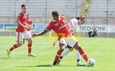 Perugia-Crotone, i precedenti