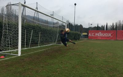 Subito al lavoro per preparare Cesena